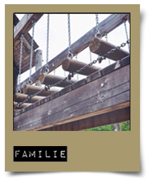 polaroid-familie