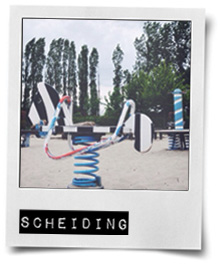 polaroid-scheiding